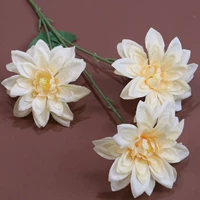 3 маленький цвет лихуа-хампань