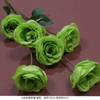 6 изысканные розы-зеленые