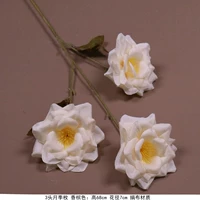 Темно-коричневый 3 розетка-хампань