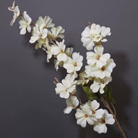 Для влюбленных, зеленый, цвета шампанского