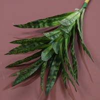 Лили бамбук-лация зеленый