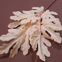 Белое шампанское-тиансианье