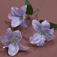 Черный 3-головый лилия светло-голубой