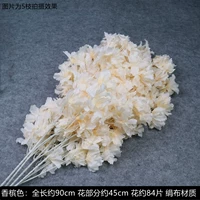 Шампанское цвето