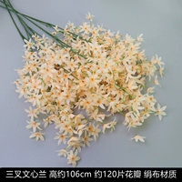 Шампанское цветовое тригригрипгамин Синсинлан