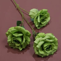 Небо голубой бриллиант розовый темно -зеленый