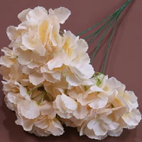 Розовая красная пентаграмма для букета гидхического шампанского