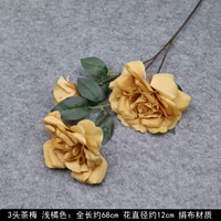 Лысый синий 3-головый чайный сливовый апельсин