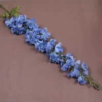 Чито орхидея синяя