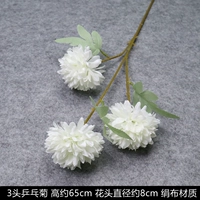 3 головного мяча Chrysanthemum белый