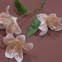 Флуоресцентный желтый фрактор лилия-хампань