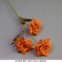 Оранжевый три розового апельсина