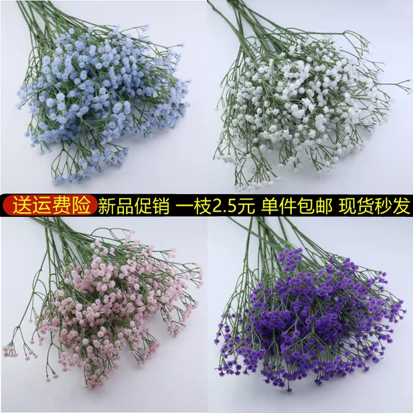 Товары от 山有木绿植