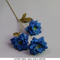 Лимон Желтая Три Роза Роза Роза Блю