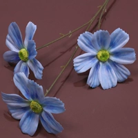 Абрикосовый 3 головы Gesang Flower-Blue