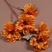 5 голов и половина летнего апельсина