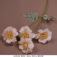 Темный хака 4-головый ветровой коляп-хампань