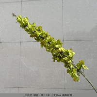 Золотой хито-лан-зеленый