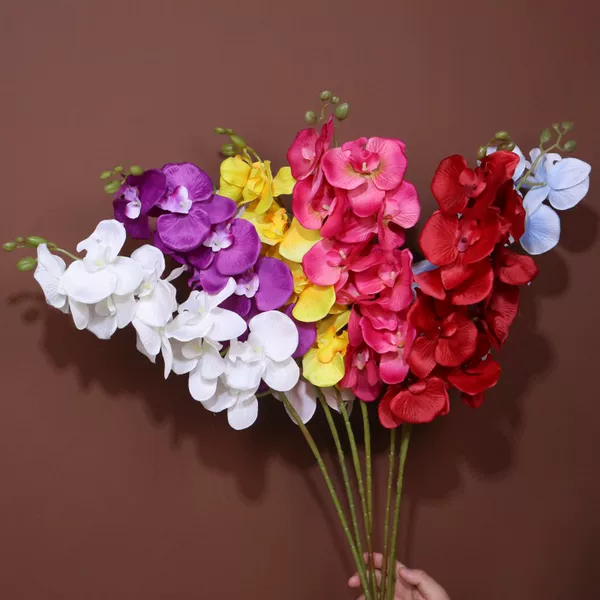 Товары от 山有木绿植