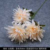 Зеленый, цвета шампанского