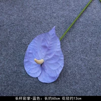 Пальмовый голубой