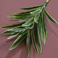 Лили бамбук, белый край зеленый