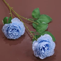 Западный пион -синий