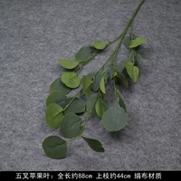 5 вилок зеленого яблока 𬞟фруктовые листья