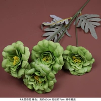 4 Hibiscus цветы-зеленые