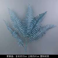 Человек персидско-смог синий