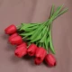 Красный (10 установок)