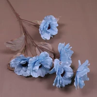 Арбуз красный 6-головый камеллия-синий