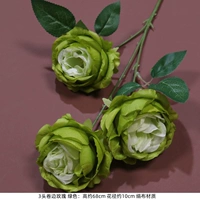 Вайолет 3-х головой вьющиеся розовые зеленые