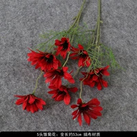 五头雏菊—红色 满5枝包邮