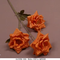 3 Розового дерева апельсин