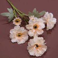 Темно -синий 6 маленький рододендрон шампанский