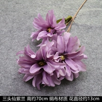 Темно-синяя феи пурпурно-фиолетовое