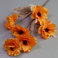 6 Тау Маунтин-Камеллия-Оран