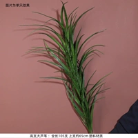 Хаки, высокий, большой тростник, зеленый