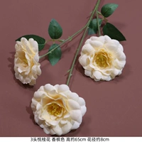 Золото 3 голова юэ gui-champagne