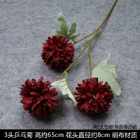 3 заголовка Chrysanthemum Red