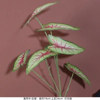 Акала листья зеленых