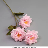 Ярко -желтые три розовые розовые