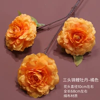 Золотой 3 Koi-Orange