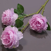 Три великих океана-пурпур