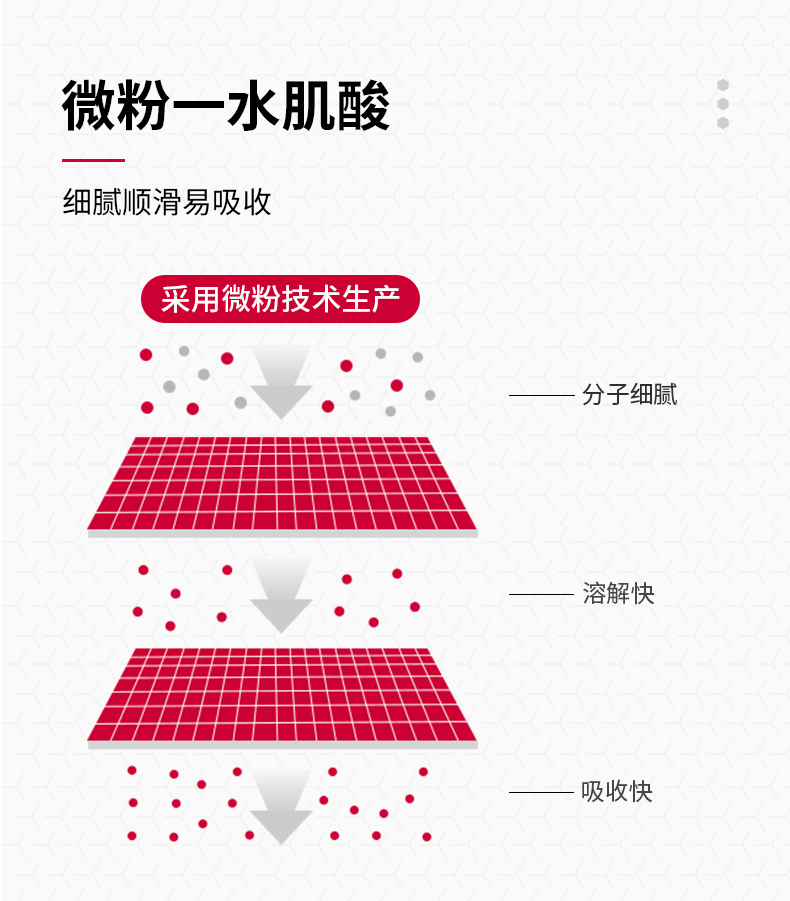 【BSN】必胜DNA肌酸粉309g