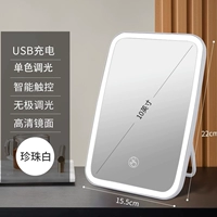 Однопроницаемый чип [белый] монохромный малый столичный 2800 литийная корпорация