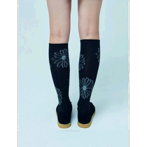 Korean direct mail mardi mercredi actif universal womens socks hot style