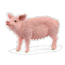 South Koreas Direct Mail Schleich] Pig