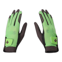 Korean direct mail DESENTE] Golf gloves GQCDO22WGL41-GRNG womens mesh double